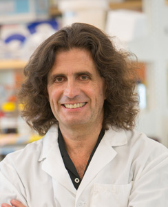 Michele Carbone, MD, PhD