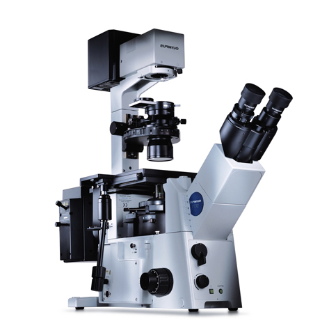 Olympus IX71 microscope